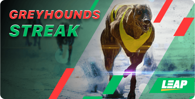 Greyhounds Streak