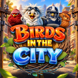 Birds in The City